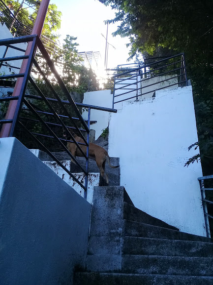 More stairs