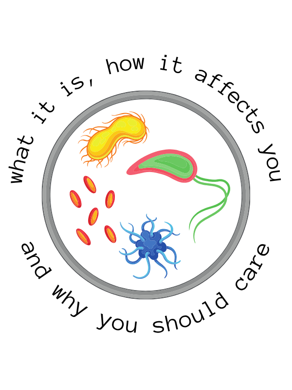 Gut Microbiome 101